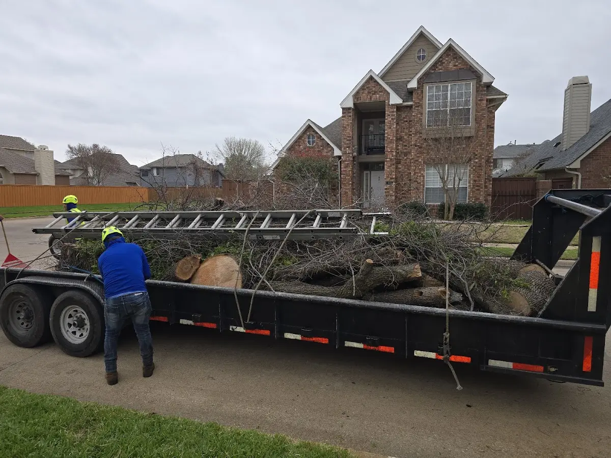Expert Tree Fertilization with proper safety equipment in Appleton City